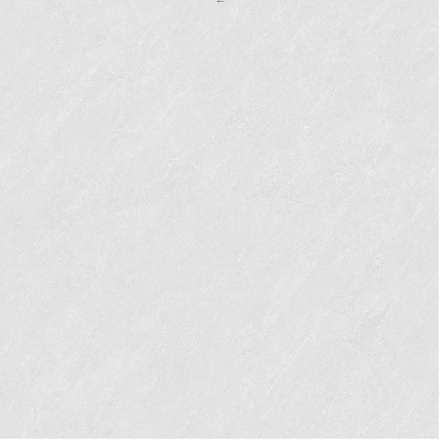 E0NL862RH